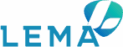 FEMA Financial Services Logo